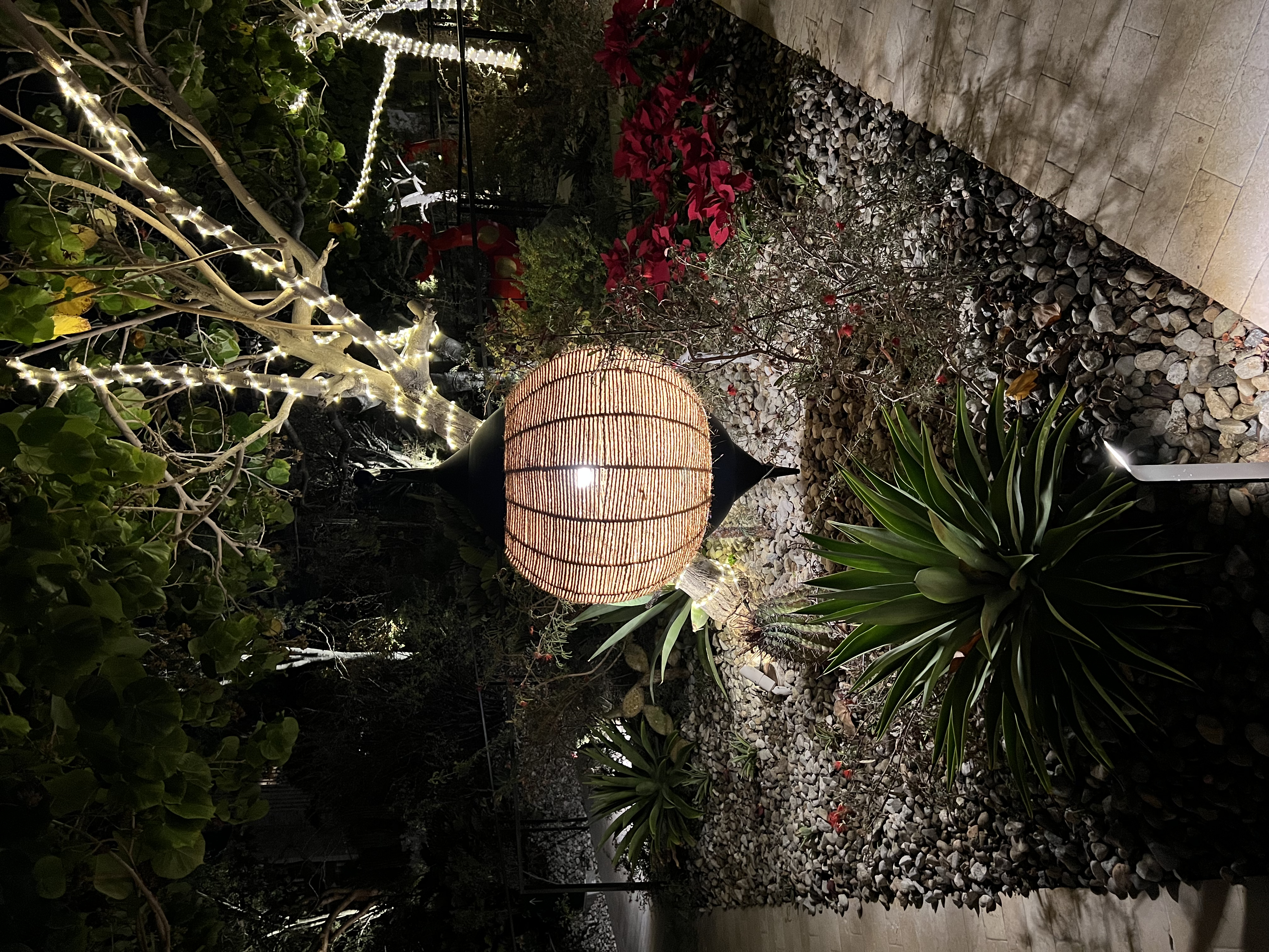 ./2024/13 - Cabo/IMG_4175.jpg